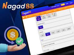 Comprehensive Evaluation of Nagad88